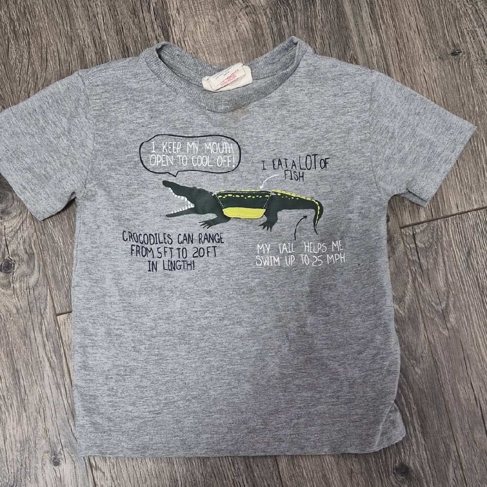 Kids Gray Crocodile Graphic Tee